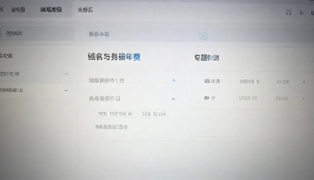 域名注册中常见误区与处理方法解析